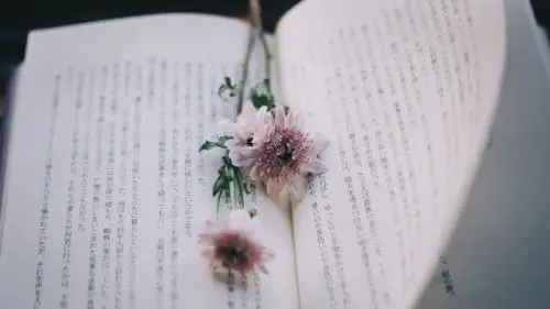 精美励志文章摘抄大全800字