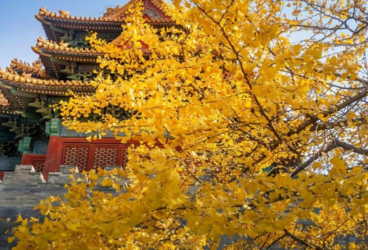 早上发正能量的朋友圈的句子文案