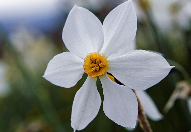 积累的语录文案