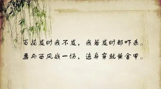 很吊霸气的句子文案