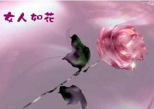 女人如花的优美句子文案