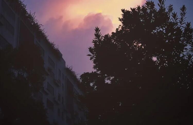 超仙的句子文案