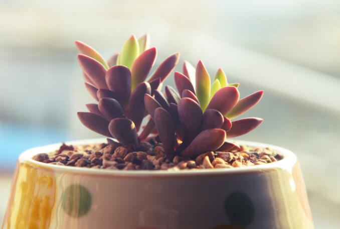 销售激励人心的句子文案