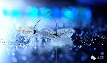 渴望遇到个懂自己的人的句子文案