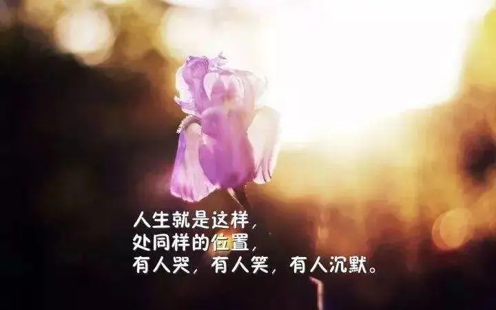 人生说说文案很现实的说说文案