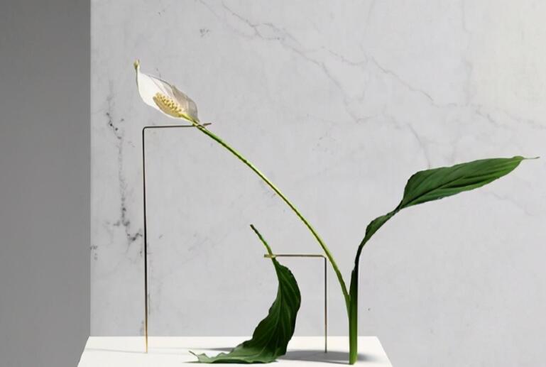 做人的优美句子文案