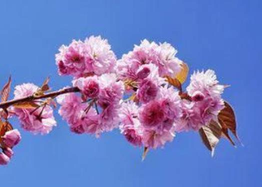 情侣在一起的句子文案简短