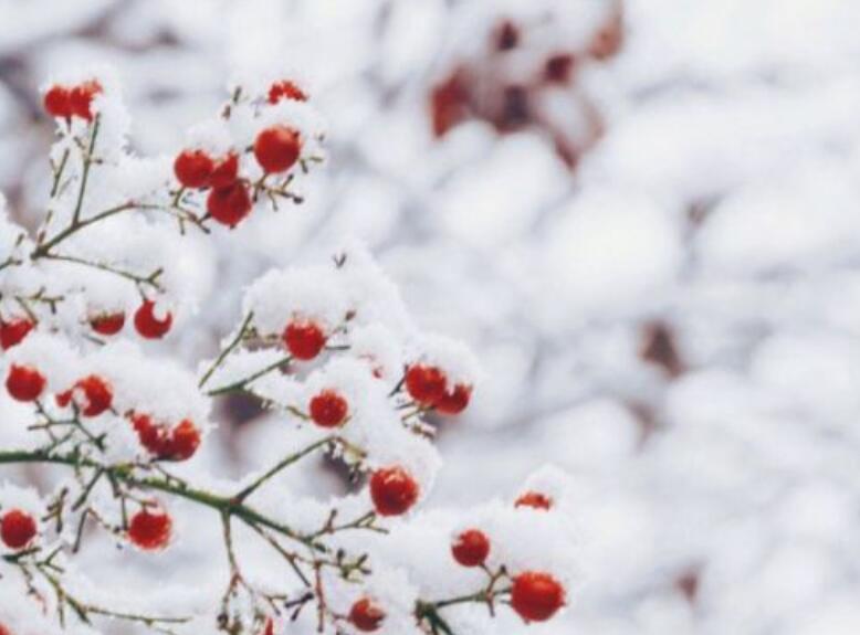 冬天来了后面补充句子文案