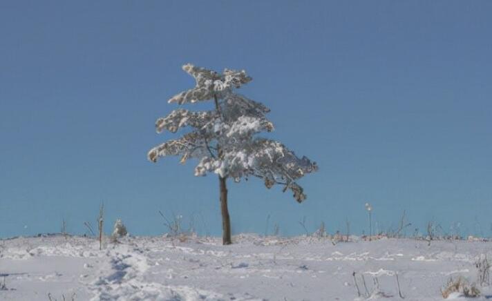 对情人失望看透的句子文案