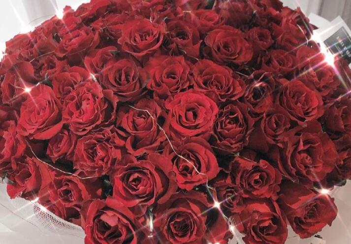 一句话形容玫瑰花