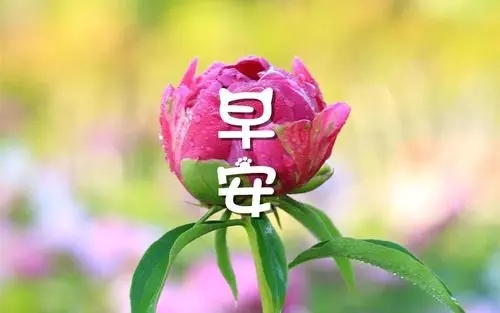 早安问候编辑_美篇