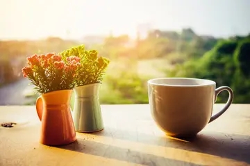 亲情冷漠无情的句子文案