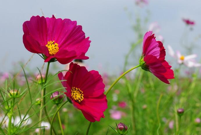 班主任寄语简短有内涵