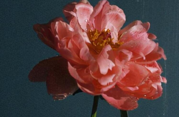 关于旅游的八字短句