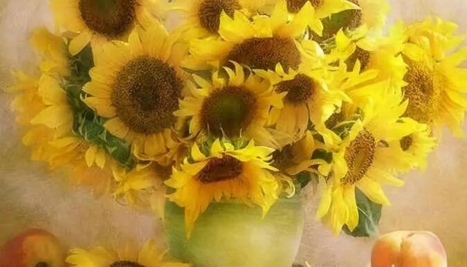 相遇又离别伤感的句子文案