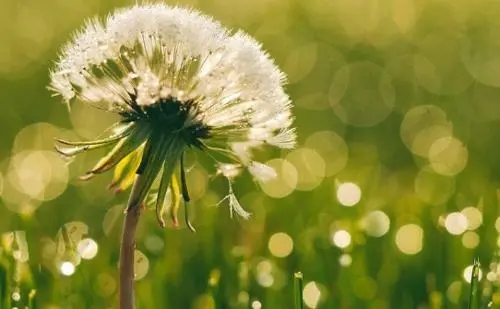 关于4月的唯美句子文案