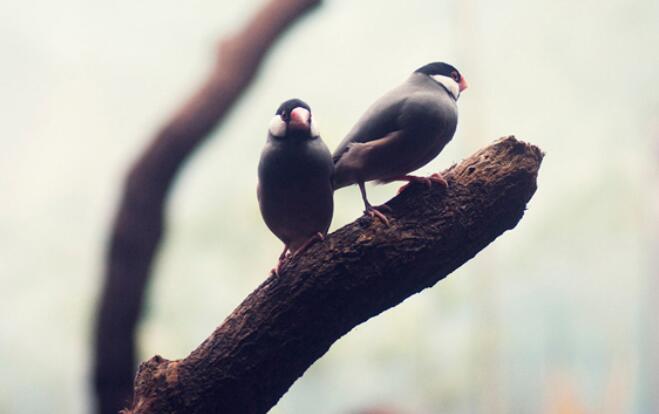 讽刺男人搞暧昧的句子文案