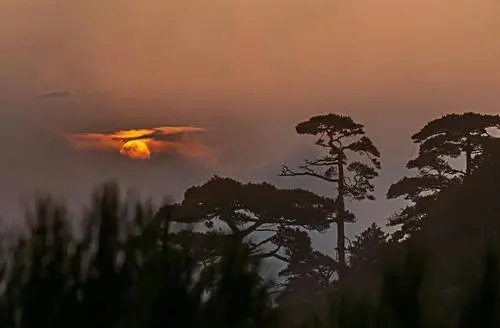 悼念老人驾鹤西去的诗句文案