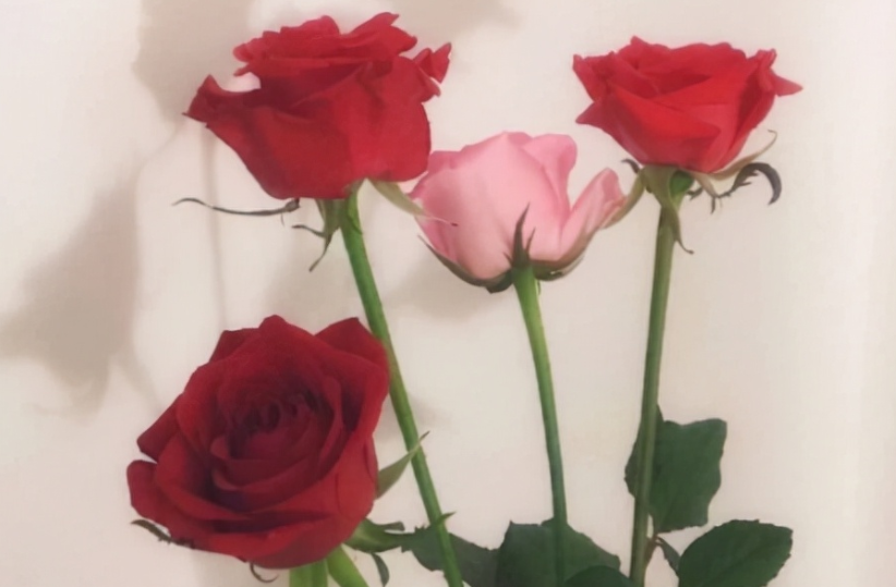 异地恋写给对象的一段话暖心