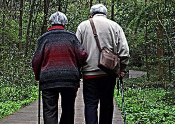 爸妈恩爱的短句