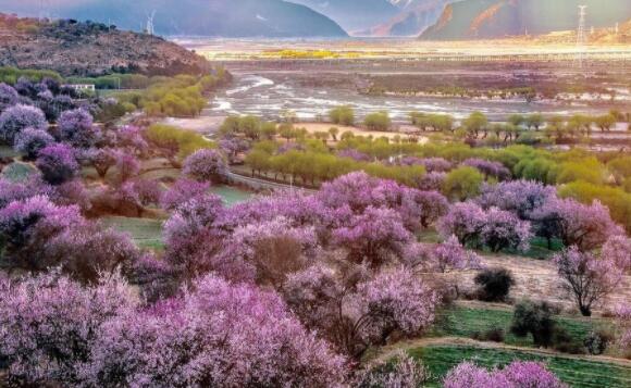 值班经典句子文案