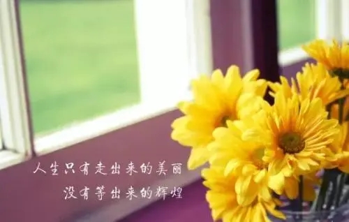 经典励志诗句文案