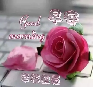 感谢朋友每天早安问候