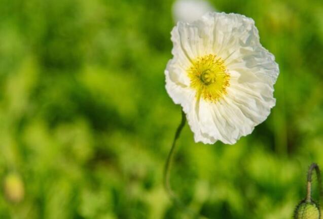 适合发朋友圈的文案和图片