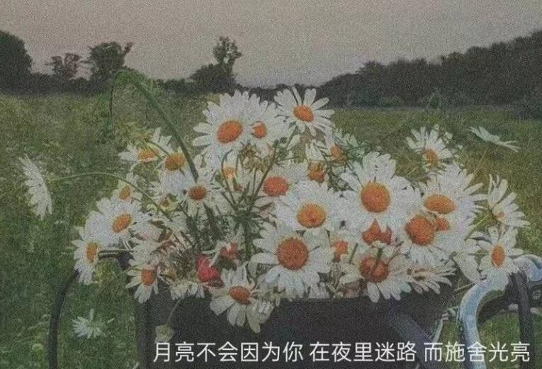 突然之间很伤感的句子文案