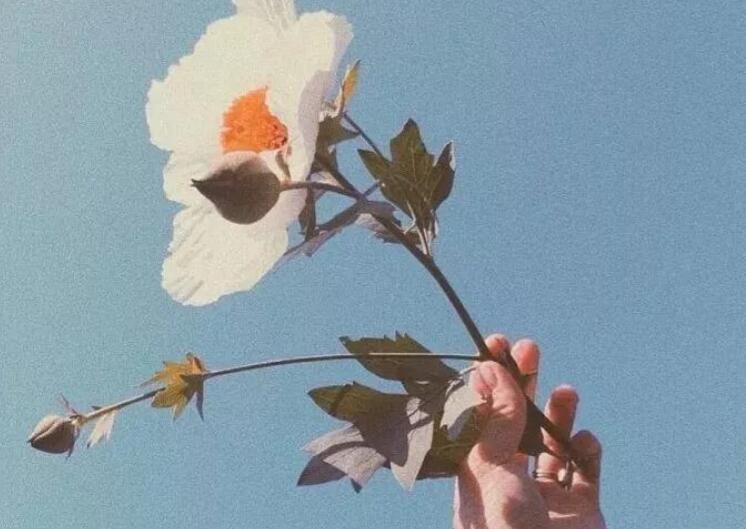 关于记忆的唯美句子文案