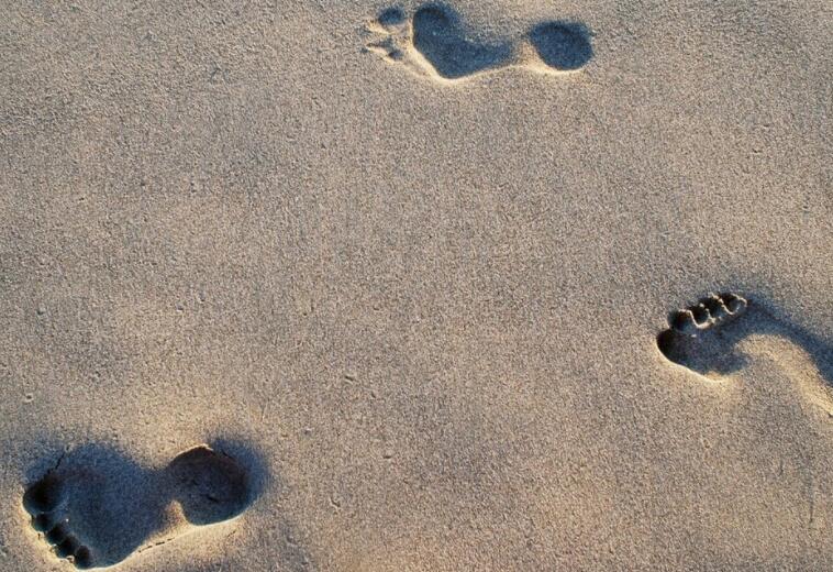 成长的足迹优美句子文案