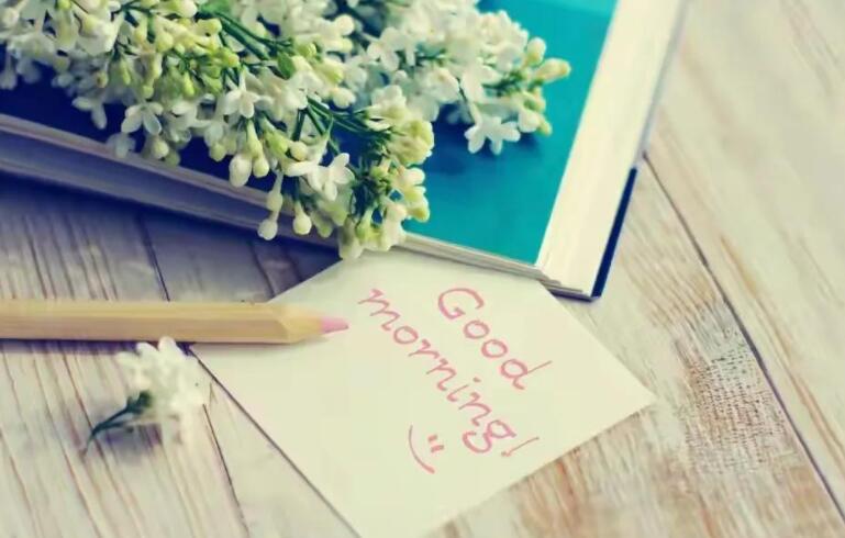 禅语静心的句子文案