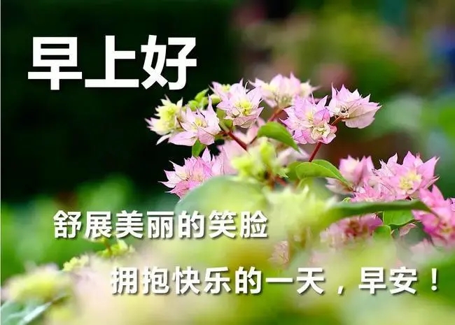 经典早上问候句子文案