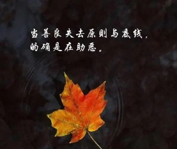 女人该要的尊严和底线的说说文案