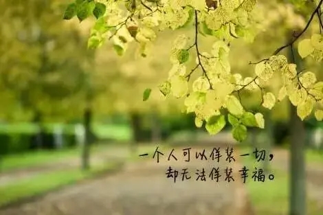 你是我永远抹不去的回忆句子文案