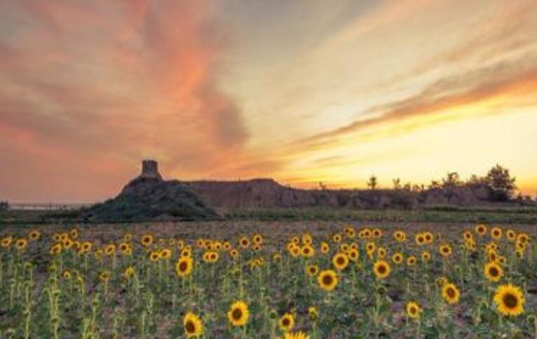 表示人心变了的句子文案