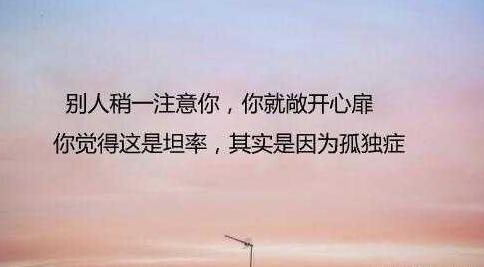 形容孤独无人懂的诗句文案