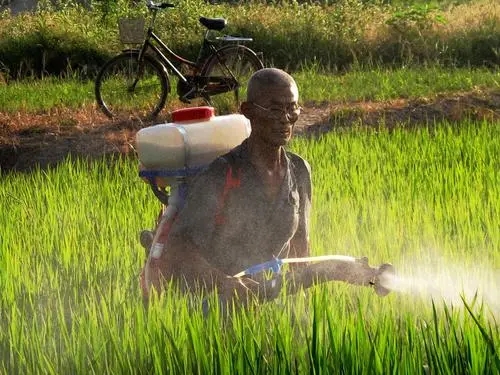 形容人民勤劳朴实的句子文案