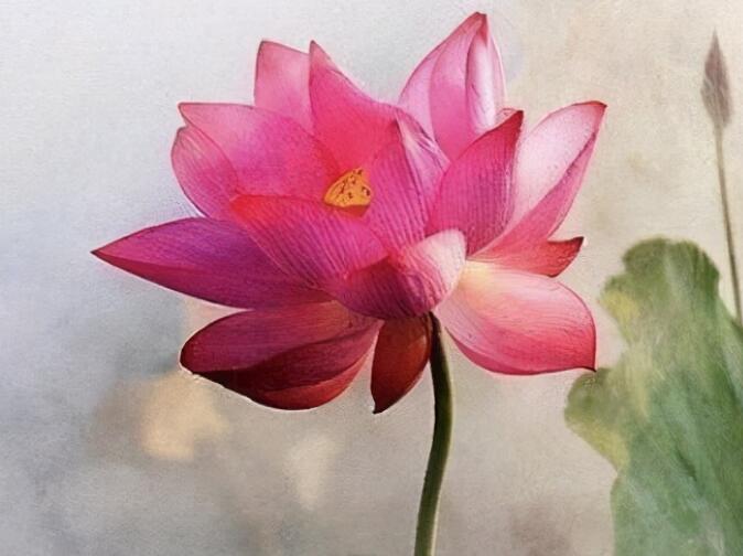 让自己心静沉稳的句子文案