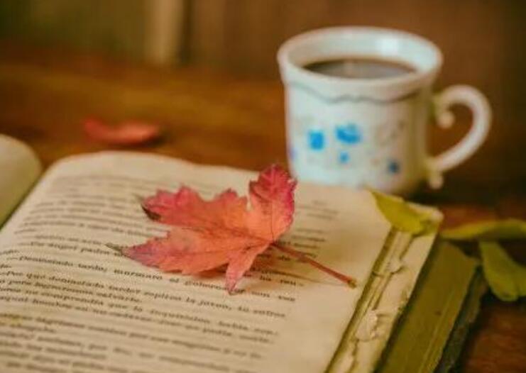 50字读书笔记五十篇