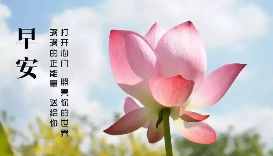 给客户发早安简短的句子文案