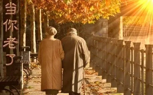 调侃自己老了的诗句文案