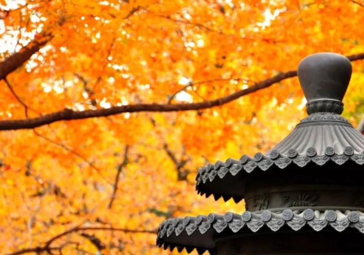 早安健康正能量短句