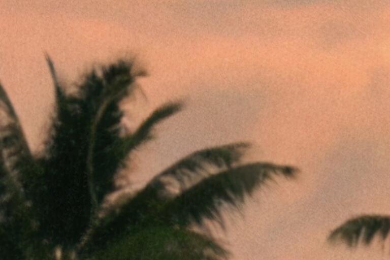 老同学相聚的心情短语