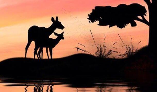 佛系短句干净治愈