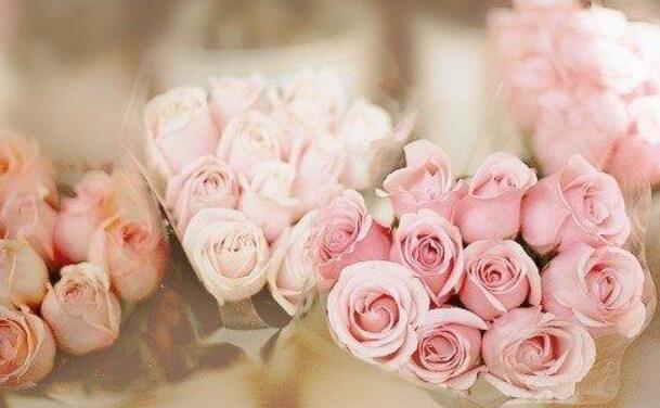 佛说幽默风趣句子文案