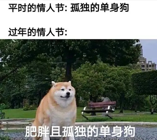 形容单身狗的搞笑诗句文案