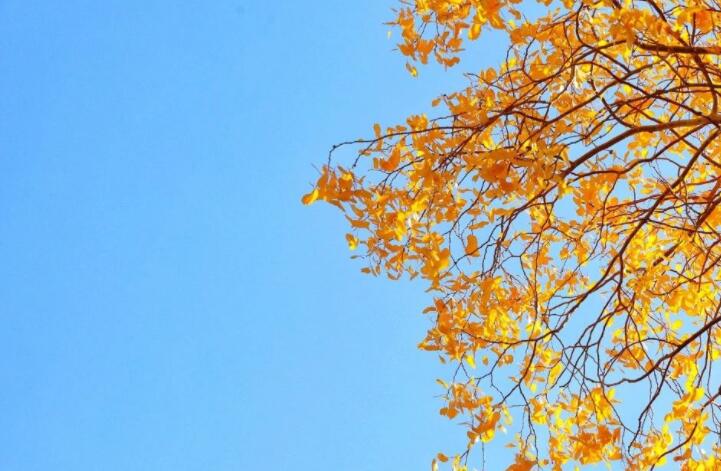 关于颜色的优美句子文案摘抄简短