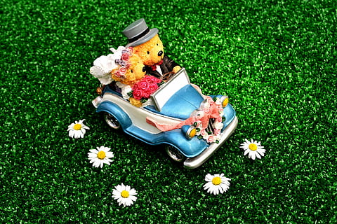 表达情有独钟的坚定的诗句文案