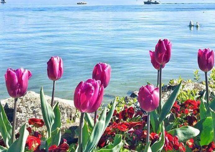 女人简单快乐的心态句子文案